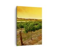 Impression sur Toile 50x70cm Tableaux Image Campagne Vignoble Coucher de soleil