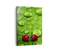 Impression sur Toile 50x70cm Tableaux Image Coccinelles herbe feuille goutte