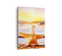 Impression sur Toile 50x70cm Tableaux Image Étoiles de mer plage sable océan