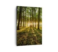 Impression sur Toile 50x70cm Tableaux Image Forêt vert rayons du soleil nature