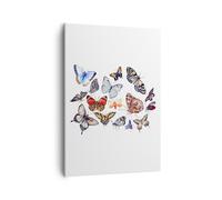 Impression sur Toile 50x70cm Tableaux Image Papillons illustration colorés ailes