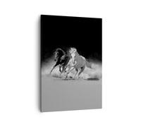Impression sur Toile 50x70cm Tableaux Image Photo Andalouse Chevaux Galop