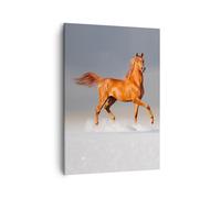 Impression sur Toile 50x70cm Tableaux Image Photo Animaux chevaux galop vitesse