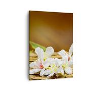 Impression sur Toile 50x70cm Tableaux Image Photo Asie spa bambou fleur