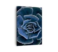 Impression sur Toile 50x70cm Tableaux Image Photo Bleu Cactus Fleur Decoration