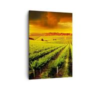 Impression sur Toile 50x70cm Tableaux Image Photo Campagne Vignoble plantation