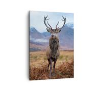 Impression sur Toile 50x70cm Tableaux Image Photo Cerf Cerf Ecosse Decoration