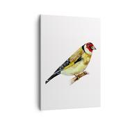 Impression sur Toile 50x70cm Tableaux Image Photo Chardonneret Oiseau Aquarelle