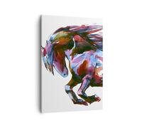 Impression sur Toile 50x70cm Tableaux Image Photo Cheval élégance sauvage Animal