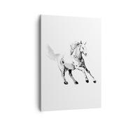 Impression sur Toile 50x70cm Tableaux Image Photo Cheval Galop Des Animaux