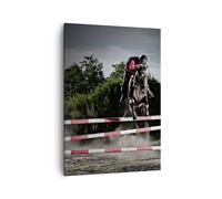 Impression sur Toile 50x70cm Tableaux Image Photo Cheval sport obstacles ciel
