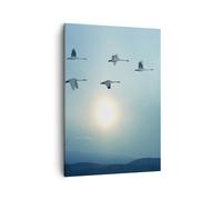Impression sur Toile 50x70cm Tableaux Image Photo cigogne oiseau nature