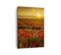 Moderne Impression sur Toile coquelicot fleur prairie Image Tableau Decoration Murale 50x70cm Deco Cadre Salon Chambre Cuisine Vertical Petit Tableaux Decoratifs Muraux Art Wall Decor PA50x70-3643