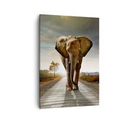 Impression sur Toile 50x70cm Tableaux Image Photo Elephant Route Campagne