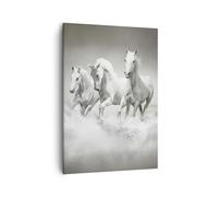Impression sur Toile 50x70cm Tableaux Image Photo Ferme chevaux galop liberté