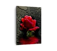 Impression sur Toile 50x70cm Tableaux Image Photo Fleur rose rouge eau rosée