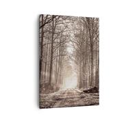 Impression sur Toile 50x70cm Tableaux Image Photo forêt route arbre Decoration
