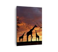 Impression sur Toile 50x70cm Tableaux Image Photo Girafe Afrique Soleil Safari