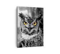 Impression sur Toile 50x70cm Tableaux Image Photo Hibou oiseau nature Decoration