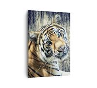 Impression sur Toile 50x70cm Tableaux Image Photo Inde pierre tigre sauvage
