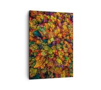 Impression sur Toile 50x70cm Tableaux Image Photo L'Automne Point De Vue Aviaire