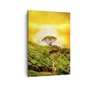 Impression sur Toile 50x70cm Tableaux Image Photo Montagne Arbre Chemin Colline