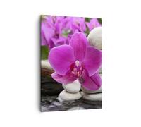 Impression sur Toile 50x70cm Tableaux Image Photo Orchidée bambou décoration spa