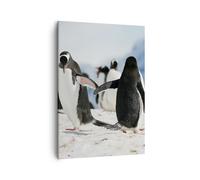 Impression sur Toile 50x70cm Tableaux Image Photo Pingouins Hiver nature neige