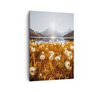 Impression sur Toile 50x70cm Tableaux Image Photo Pissenlits Soleil Champ