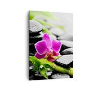 Impression sur Toile 50x70cm Tableaux Image Photo Plante pierres bambous spa