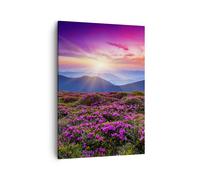 Impression sur Toile 50x70cm Tableaux Image Photo Prairie Montagne Ciel Paysage