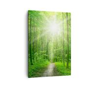Impression sur Toile 50x70cm Tableaux Image Photo Rayons du soleil forêt été