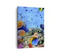 Impression sur Toile 50x70cm Tableaux Image Photo Récif de corail Art Decoration