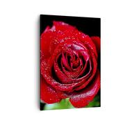 Impression sur Toile 50x70cm Tableaux Image Photo Rose fleur pétales eau