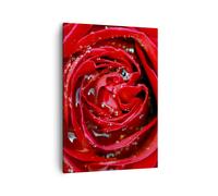 Impression sur Toile 50x70cm Tableaux Image Photo Rose fleur pétales rosée