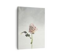 Impression sur Toile 50x70cm Tableaux Image Photo Rose Oiseaux Ciel Decoration