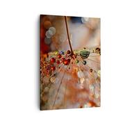 Impression sur Toile 50x70cm Tableaux Image Photo toile d'araignée moderne