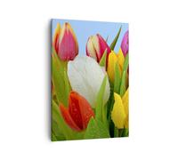Impression sur Toile 50x70cm Tableaux Image Photo Tulipes Bouquet fleurs rosée