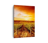 Impression sur Toile 50x70cm Tableaux Image Photo Vignoble Vue Campagne