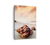 Impression sur Toile 50x70cm Tableaux Image Plage belle des Caraïbes coloré
