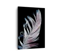 Impression sur Toile 50x70cm Tableaux Image Plume Les Couleurs La Délicatesse