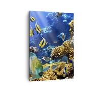 Impression sur Toile 50x70cm Tableaux Image Récif corallien océan crabe poisson