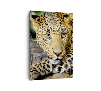 Impression sur Toile 70x100cm Tableaux Image Animaux dangereux chat sauvage