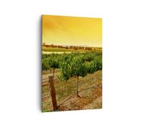 Impression sur Toile 70x100cm Tableaux Image Campagne Vignoble Coucher de soleil