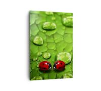 Impression sur Toile 70x100cm Tableaux Image Coccinelles herbe feuille goutte