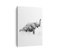 Impression sur Toile 70x100cm Tableaux Image Éléphants Famille Noir Et Blanc