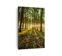 Impression sur Toile 70x100cm Tableaux Image Forêt vert rayons du soleil nature