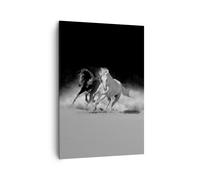 Impression sur Toile 70x100cm Tableaux Image Photo Andalouse Chevaux Galop