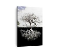 Impression sur Toile 70x100cm Tableaux Image Photo Arbre Les Racines Réflexion