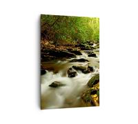 Impression sur Toile 70x100cm Tableaux Image Photo Arbres ruisseaux roches